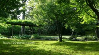 城南宮の平安の庭の苔庭の画像