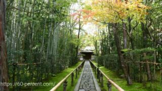 大徳寺塔頭・高桐院の参道の画像