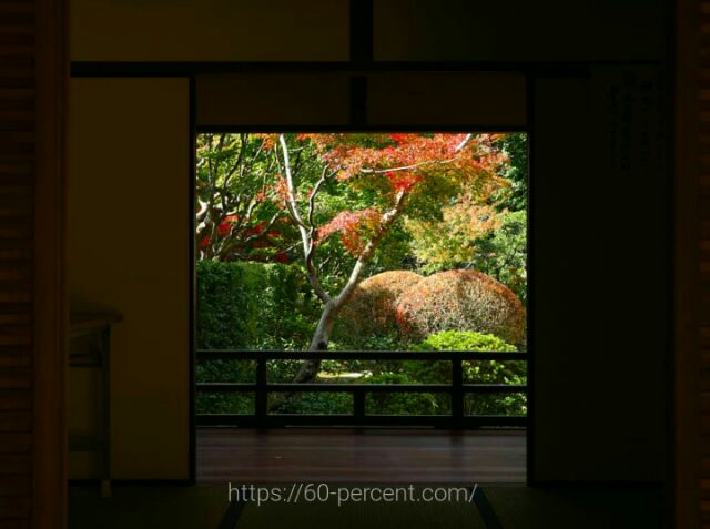 大徳寺塔頭・高桐院の玄関からみた庭園の画像